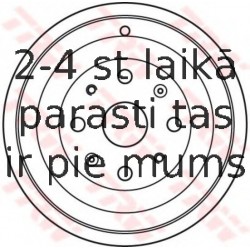 Bremžu trumulis TRW DB4393
