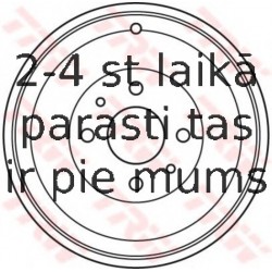Bremžu trumulis TRW DB4387