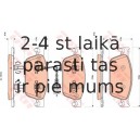 Bremžu uzliku kompl., Disku bremzes TRW GDB1887