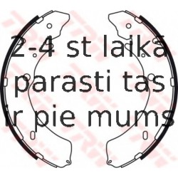 Bremžu loku komplekts TRW GS8756