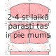 Bremžu uzliku kompl., Disku bremzes TRW GDB3201