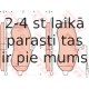 Bremžu uzliku kompl., Disku bremzes TRW GDB1718