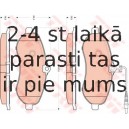 Bremžu uzliku kompl., Disku bremzes TRW GDB1718
