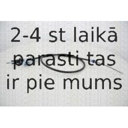 Trose, Stāvbremžu sistēma TRISCAN 8140 42147