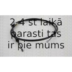 Trose, Stāvbremžu sistēma TRISCAN 8140 161146