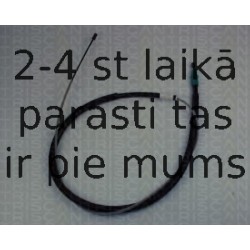 Trose, Stāvbremžu sistēma TRISCAN 8140 38131