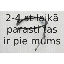Trose, Stāvbremžu sistēma TRISCAN 8140 131149