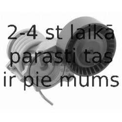 Siksnas spriegotājs, Ķīļsiksna SWAG 30 93 0897