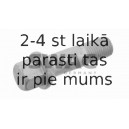 Болт для крепления колеса SWAG 10 91 4519