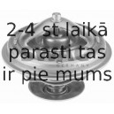 Termostats, Dzesēšanas šķidrums SWAG 32 91 7918