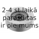 Parazīt-/Vadrullītis, Ķīļrievu siksna SWAG 80 93 2447