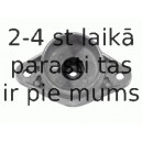 Amortizatora statnes balsts LEMFÖRDER 27189 01