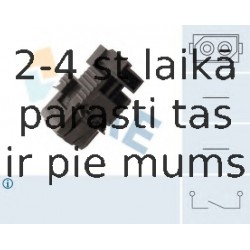 Выключатель фонаря сигнала торможения FAE 24999