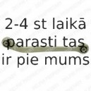 Рычаг независимой подвески колеса, подвеска колеса DELPHI TC995