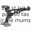 Рычаг независимой подвески колеса, подвеска колеса DELPHI TC695