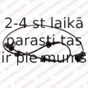 Датчик, частота вращения колеса DELPHI SS20117