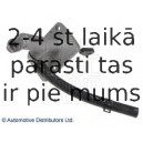 Главный цилиндр, система сцепления BLUE PRINT ADG03484