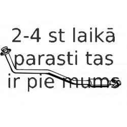 Izplūdes gāzu priekšslāpētājs WALKER 13192