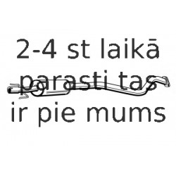 Vidējais izpl. gāzu trokšņa slāpētājs WALKER 72354