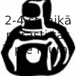 Gumijas sloksnes, Izplūdes gāzu sistēma WALKER 81392