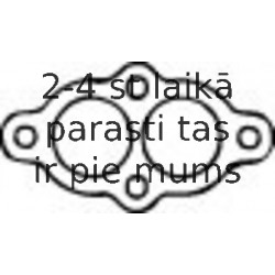 Blīve, Izplūdes caurule WALKER 81127