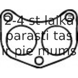 Blīve, Izplūdes caurule WALKER 81106