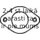 Blīve, Izplūdes caurule WALKER 80044
