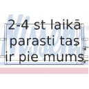 NISSENS 94915 KOND. RADIATORS FORD TRANSIT VII 06-