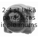 Piekare, Pārnesumkārba FEBI BILSTEIN 30008