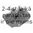 Spriegotājs, Piedziņas ķēde FEBI BILSTEIN 25412