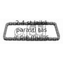 Цепь привода распредвала FEBI BILSTEIN 25380