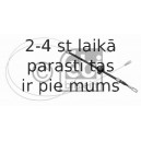 Trose, Stāvbremžu sistēma FEBI BILSTEIN 23973