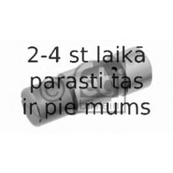 Spriegotājs, Piedziņas ķēde FEBI BILSTEIN 05619