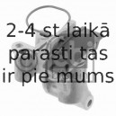 Spriegotājs, Piedziņas ķēde FEBI BILSTEIN 04989