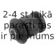 Piekare, Šķērssvira FEBI BILSTEIN 36281