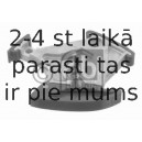 Spriegotājs, Piedziņas ķēde FEBI BILSTEIN 25417