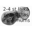 Siksnas spriegotājs, Ķīļsiksna FEBI BILSTEIN 23271