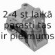 Piekare, Dzinējs FEBI BILSTEIN 23114