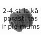 Piekare, Šķērssvira FEBI BILSTEIN 32416