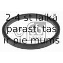 Vārpstas blīvgredzens, Riteņa rumba FEBI BILSTEIN 19219