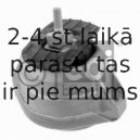 Piekare, Dzinējs FEBI BILSTEIN 24097