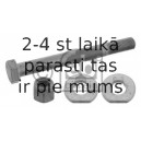 Riteņu sagāzuma regulēšanas skrūve FEBI BILSTEIN 07752