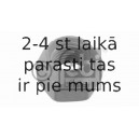 Riteņa stiprināsanas uzgrieznis FEBI BILSTEIN 26102