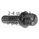 Riteņa stiprināšanas skrūve FEBI BILSTEIN 08237