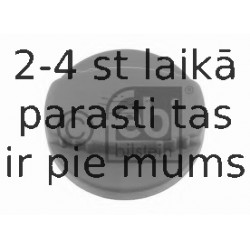 Vāciņš, Eļļas ieliešanas kakliņš FEBI BILSTEIN 03912