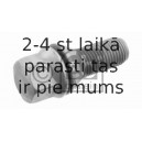 Riteņa stiprināšanas skrūve FEBI BILSTEIN 27793