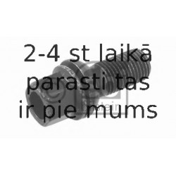 Riteņa stiprināšanas skrūve FEBI BILSTEIN 23368