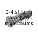 Riteņa stiprināšanas skrūve FEBI BILSTEIN 32307