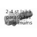 Riteņa stiprināšanas skrūve FEBI BILSTEIN 29466