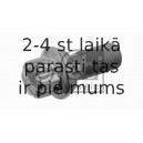 Riteņa stiprināšanas skrūve FEBI BILSTEIN 23933
